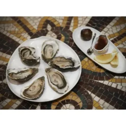 Assiette à Huîtres Blanche 26 x 24 cm Impulse Revol