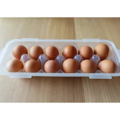 Boîte 12 Œufs Plastique 32 x 13 cm x H 7,5 cm Lock and Lock