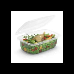 Boîte Plastique avec Couvercle 500 ml 14,2 x 12,3 cm x H 8,8 cm (x50) Ondipack