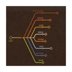 Chocolat au Lait Alunga 41% 5 kg