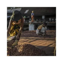 Chocolat de Couverture Noir Millot 74% Bio 250g Valrhona