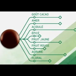 Chocolat Noir Evocao 72% 2,5 kg Barry