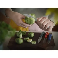 Coffret 3 Couteaux de Cuisine et un Eplucheur Primo Les Essentiels Opinel