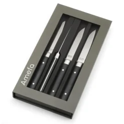 Coffret 4 Couteaux Steak Fusion 22 cm Amefa