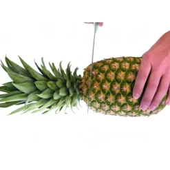 Coupe Ananas Plastique Ø 8,5 cm x H 25 cm Ibili