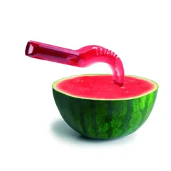 Coupe Pastèque Plastique Rouge 22 cm Ibili