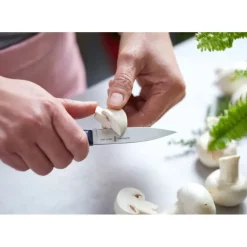 Couteau d'Office N°225 Intempora Opinel