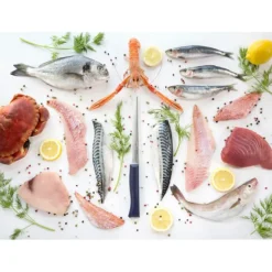 Couteau Effilé N°221 Intempora Opinel