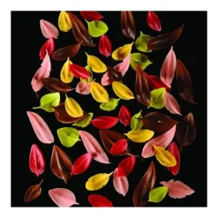 Couteau Inox Feuille Large 4 x 3 cm Flychoc Pavoni