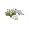 Emporte Pièce étoile 5 branches x5