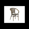 Fauteuil Imitation Rotin Beige et Bois Lyrose