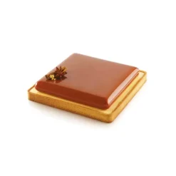 Kit Moule Silicone 1 Tarte Carrée 200mm Silikomart Professional