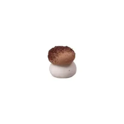 Mini Champignon en Sucre Beige 12 x 10 mm (x384) Florensuc