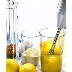 Mixeur Plongeant Bamix M250 - Coffret Black Edition