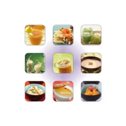 Mixeur Plongeant CMP 300 V.V Robot Coupe