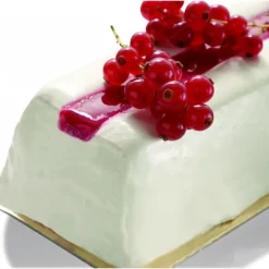 Moule 2 Bûches Rainurée Thermoformé (x10)