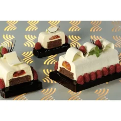 Moule 2 Bûches Trapèze Thermoformé (x10)