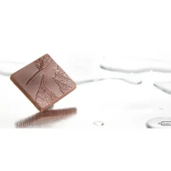 Moule Chocolat Carré avec Feuille (x10) Chocolate World