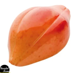 Moule Chocolat Fève Cacao 47,5 mm (x24) Chocolat Form