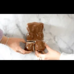 Moule 3D Chocolat Ourson Scrapcooking