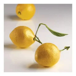 Moule Silicone 8 Citrons 85 ml Cédric Grolet Pavoni