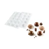 Moule Silicone 15 Marrons 30ml SilikoMart Professional