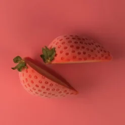 Moule Silicone 15 Mini Fraises 48 x 37 x H33 mm 30ml SilikoMart Professional