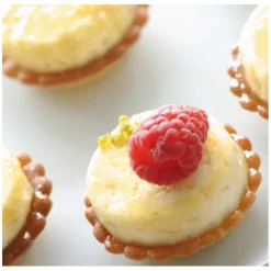 Moule Silicone 54 Mini-cylindres 3,8 cm x H 1 cm Flexipan