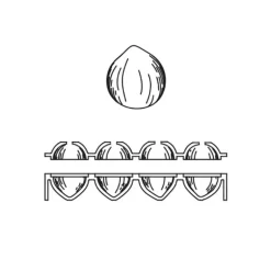 Moule Silicone 8 Noisettes 82 ml Cédric Grolet Pavoni