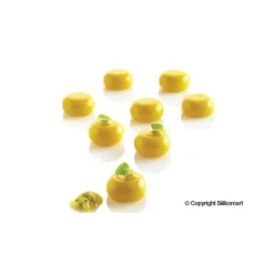Moule Silicone 35 Rond Bombé 5ml SilikoMart Professional