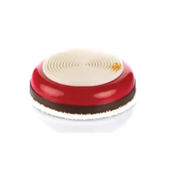 Moule Silicone 2 Tourbillons 100ml Grand Modèle Silikomart Professional