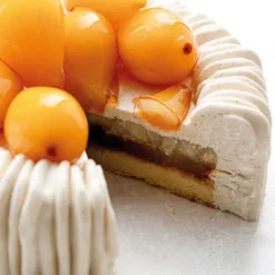 Moule Silicone Charlotte 18 cm x H 6,5 cm Cédric Grolet Pavoni