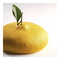 Moule Silicone Citron 1215 ml Cédric Grolet Pavoni