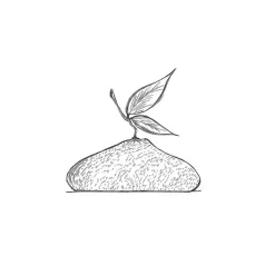 Moule Silicone Citron 1215 ml Cédric Grolet Pavoni