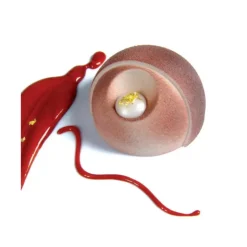 Moule Silicone Éclipse Ø 7,2 cm x H 4,1 cm (x24) Pavoflex