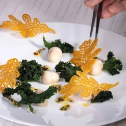 Moule Silicone Gourmand Feuille de Chêne 9,8 x 5,3 x H 0,2 cm (x8) Pavoni