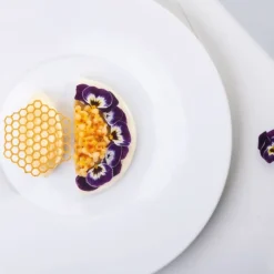 Moule Silicone Gourmand Rayon de Miel 6,7 x 6 x H 0,2 (x8) Pavoni