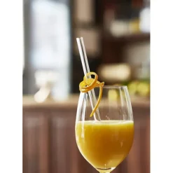 Paille Réutilisable en Verre 20cm droite x4 HALM