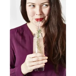 Paille Réutilisable en Verre 23cm droite x4 HALM