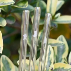 Paille Réutilisable en Verre Noël 20cm droite x6 HALM