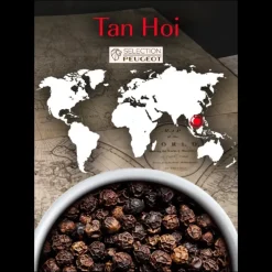Poivre Noir du Vietnam Tan Hoi Sachet 20 g (x7) Peugeot