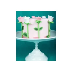 Poudre comestible Vert houx 1,2 g FunCakes