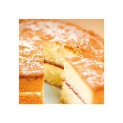 Préparation pour Sponge Cake Sans Gluten 500 g Funcakes