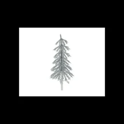 Sapin Argent Volume x144