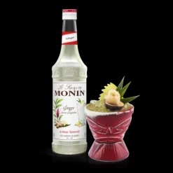 Sirop Gingembre 70 cl Monin