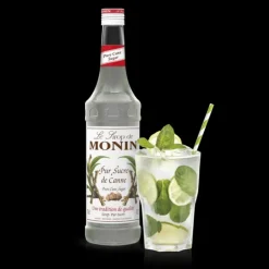 Sirop Sucre de Canne 70 cl Monin