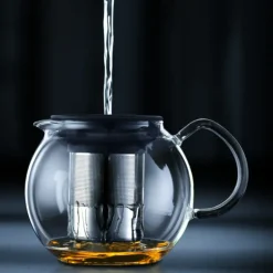 Théière avec Filtre Inox 50cl ASSAM Bodum