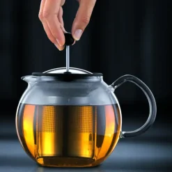 Théière avec Filtre Inox 50cl ASSAM Bodum