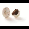 Œufs en Chocolat Praliné 2,5 kg Révillon
